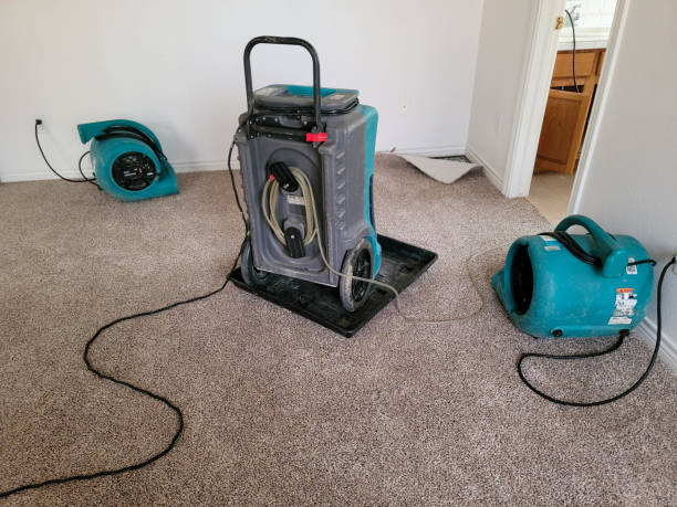 Best Fire Damage Restoration  in Sheridan, CA