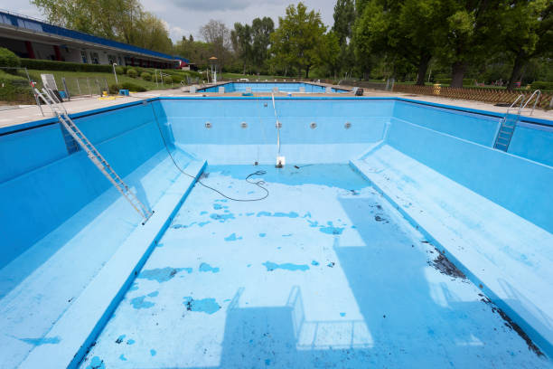 Best Mold removal after water damage  in Sheridan, CA