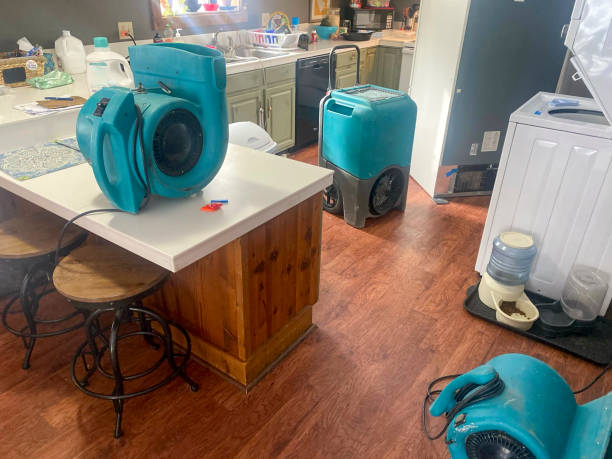 Best 24/7 water damage repair  in Sheridan, CA