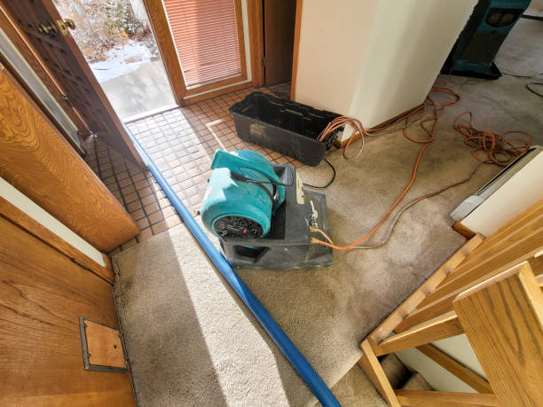 Best Flood restoration services  in Sheridan, CA