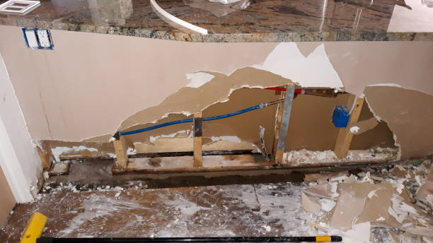 Best Professional water damage repair  in Sheridan, CA
