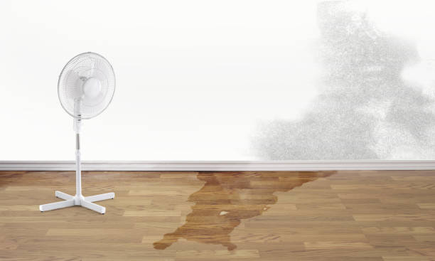 Water damage restoration experts in Sheridan, CA