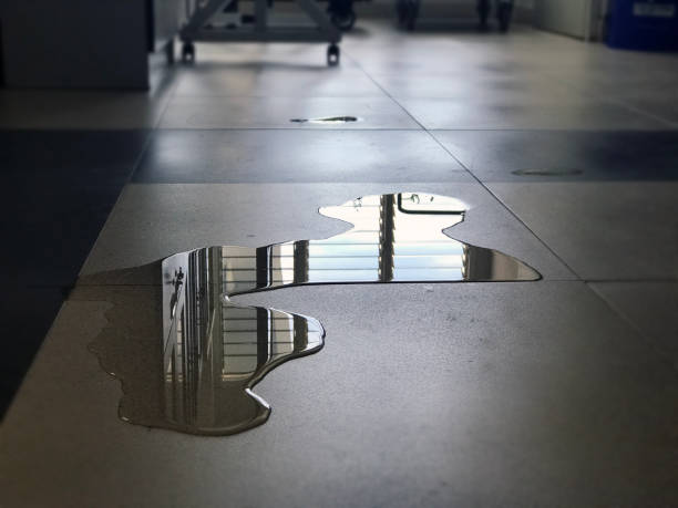 Best Water damage restoration process  in Sheridan, CA