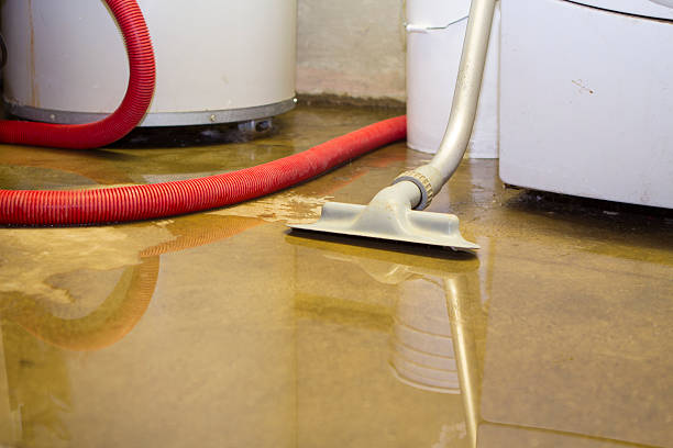 Professional Water damage restoration in Sheridan, CA