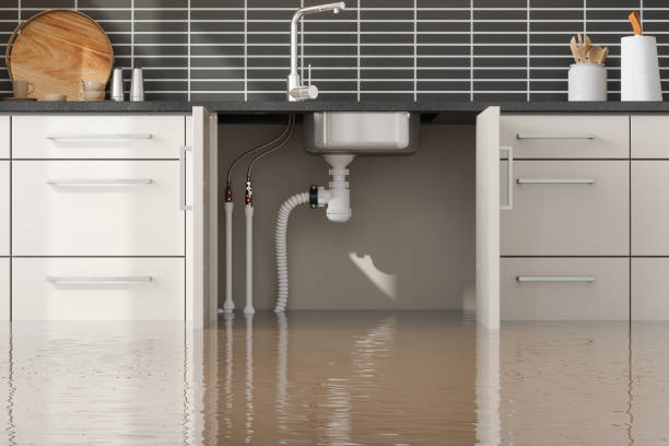 Sewage cleanup and water damage restoration in Sheridan, CA